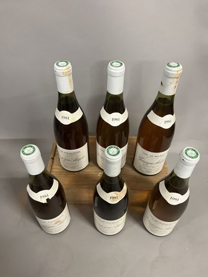 6 bottles BOURGOGNE aligoté, J. Colin 1981...