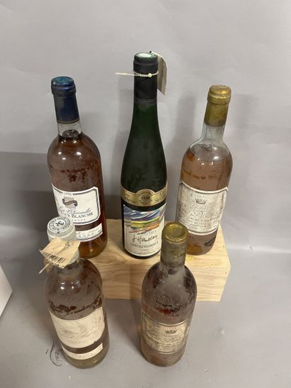 5 bottles BLANCS DIVERS (1 Blanc de Lynch-Bages...