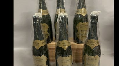 6 bottles CHAMPAGNE Saint-Chamand 2006