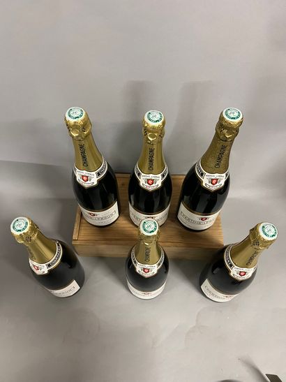 6 bottles CHAMPAGNE 