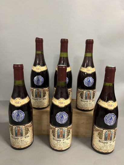 6 bouteilles BLAGNY 