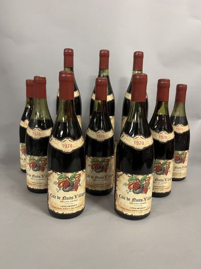 10 bottles COTE DE NUITS VILLAGES, Lippé-Régnier...
