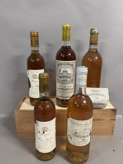 5 bottles BORDEAUX DIVERS, (2 half-litres...