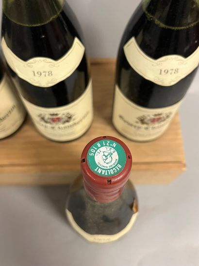 4 bottles GEVREY-CHAMBERTIN Lippé-Régnier...