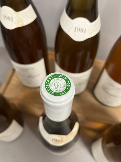 6 bottles BOURGOGNE aligoté, J. Colin 1981...