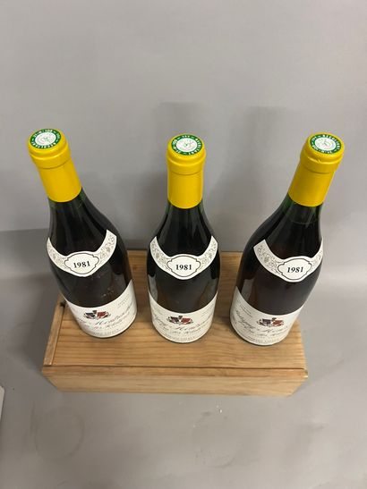 3 bouteilles PULIGNY-MONTRACHET 