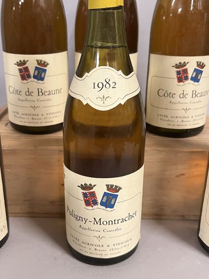 3 bottles PULIGNY-MONTRACHET Lycée Viticole...