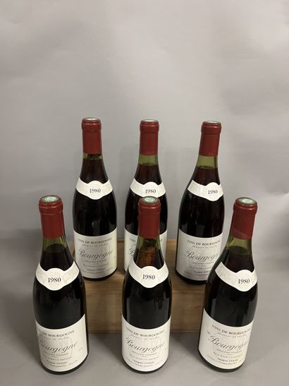 6 bottles BOURGOGNE J. Colin 1980 (TLB)