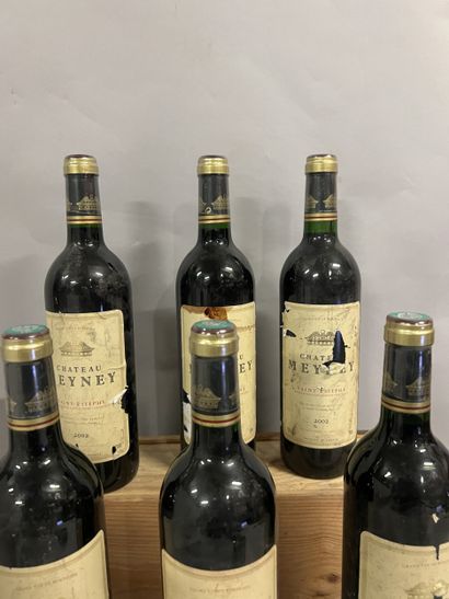 6 bottles Château MEYNEY, Saint-Estèphe 2002...