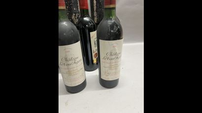 10 bottles SAINT-EMILION DIVERS (2 Ch. La...