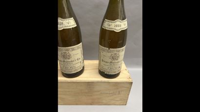 3 bottles PULIGNY-MONTRACHET 