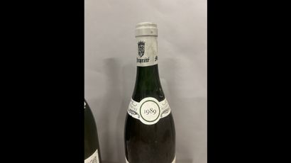 2 bottles PULIGNY-MONTRACHET 