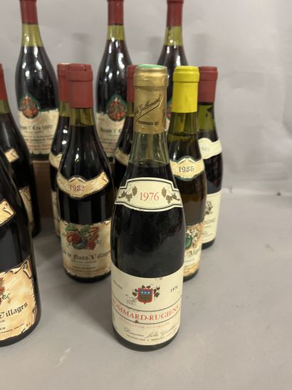 12 bottles BOURGOGNE DIVERS, (1 Jules Guillemard...