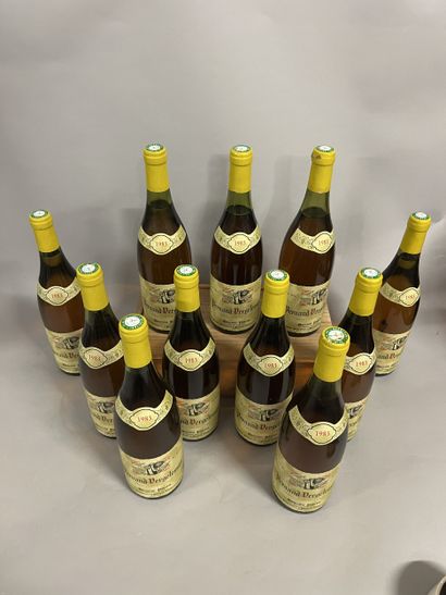 11 bottles PERNAND-VERGELESSES Pavelot 1983...