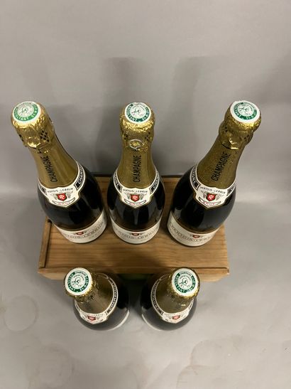 5 bottles CHAMPAGNE 