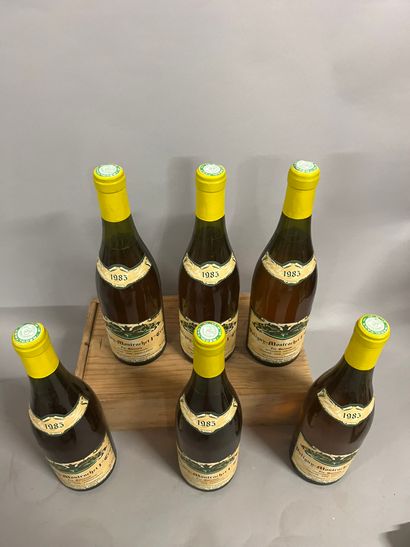 6 bottles PULIGNY-MONTRACHET 