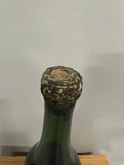 1 bottle COGNAC Napoléon, (