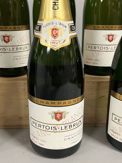 6 bottles CHAMPAGNE 