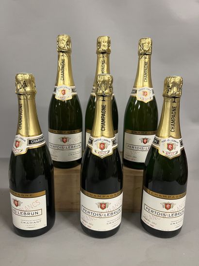 6 bottles CHAMPAGNE 