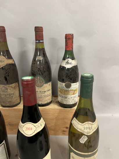 6 bottles BOURGOGNE DIVERS (1 Henri Montagny...