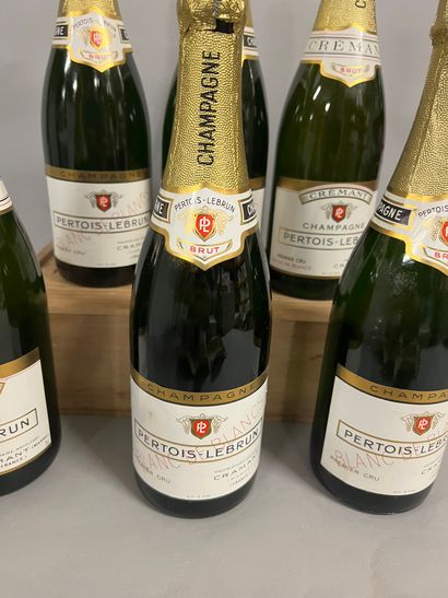 6 bottles CHAMPAGNE 