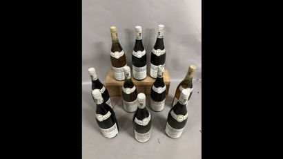 9 bottles PULIGNY-MONTRACHET 