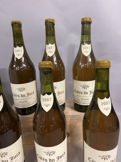 6 bottles COTES DU JURA Savagnin, M. Perron...