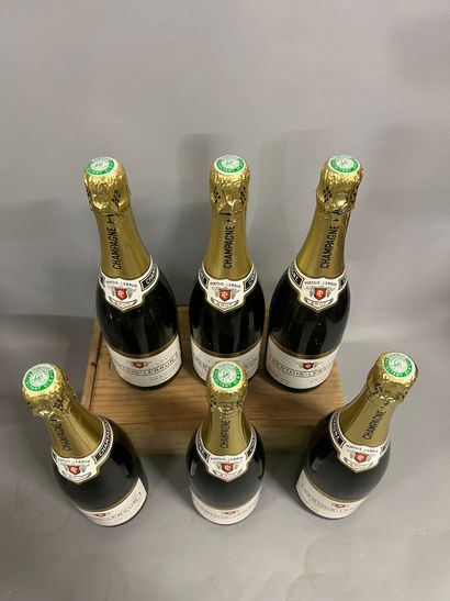 6 bottles CHAMPAGNE 