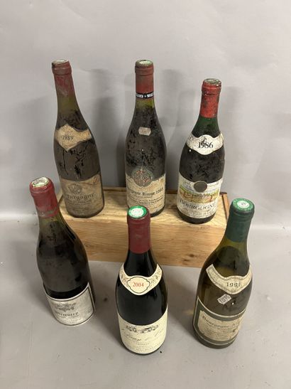 6 bottles BOURGOGNE DIVERS (1 Henri Montagny...