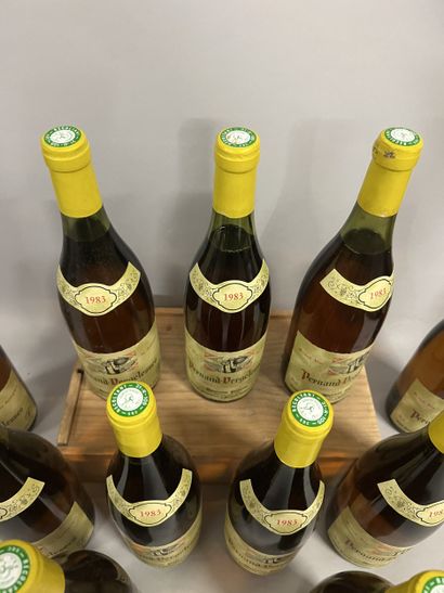 11 bottles PERNAND-VERGELESSES Pavelot 1983...