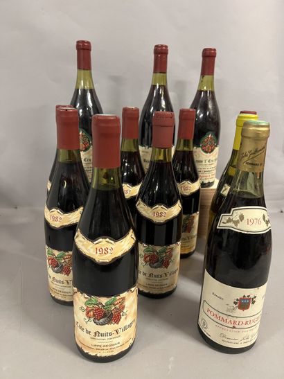 12 bottles BOURGOGNE DIVERS, (1 Jules Guillemard...