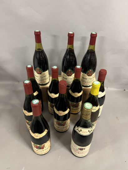 12 bottles BOURGOGNE DIVERS, (1 Jules Guillemard...