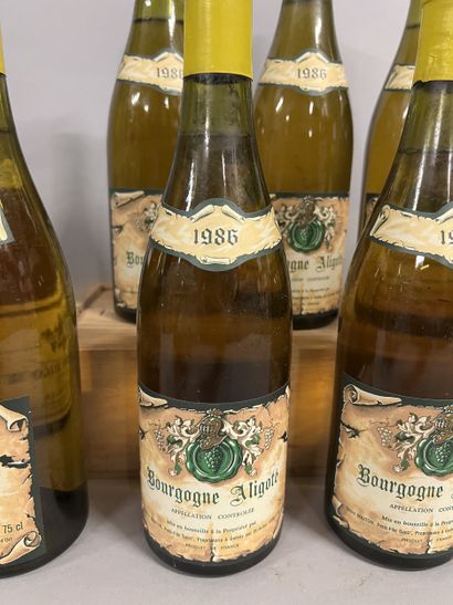 9 bottles BOURGOGNE aligoté, (7 Bouton 1986,...