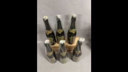 6 bottles CHAMPAGNE Saint-Chamand 2006