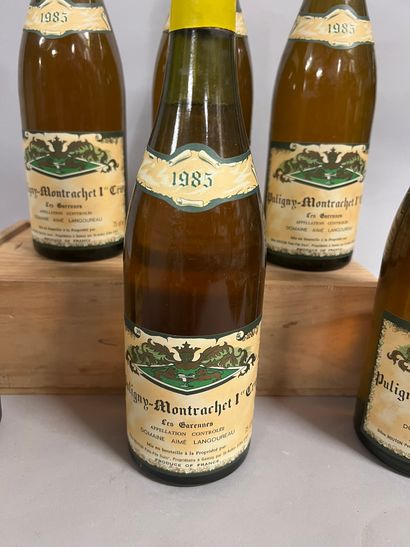 6 bottles PULIGNY-MONTRACHET 