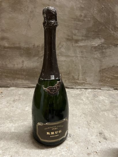 1 bottle vintage CHAMPAGNE, Krug 1981 (ea,...