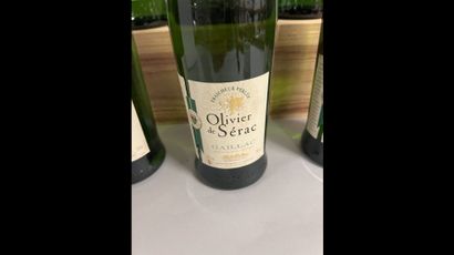 6 bottles GAILLAC O. de Sérac (white)