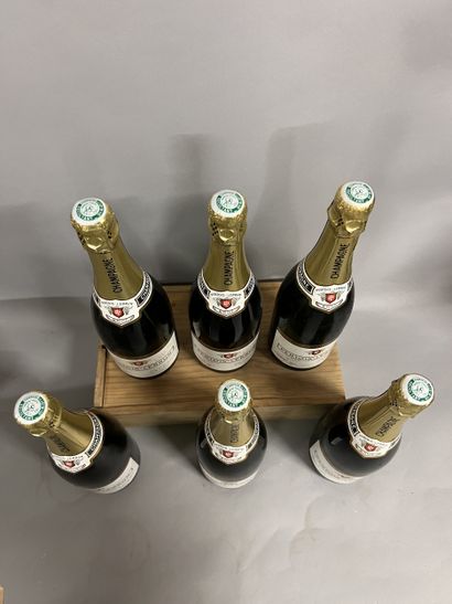 6 bottles CHAMPAGNE 