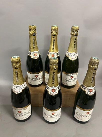 6 bottles CHAMPAGNE 
