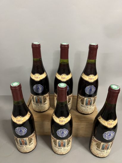 6 bouteilles BLAGNY 