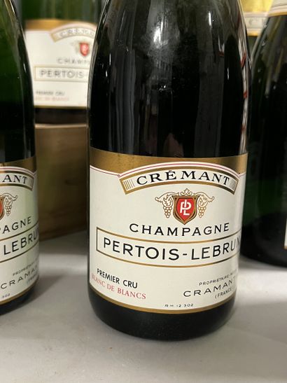 11 bottles CHAMPAGNE Pertois-Lebrun (Cra...