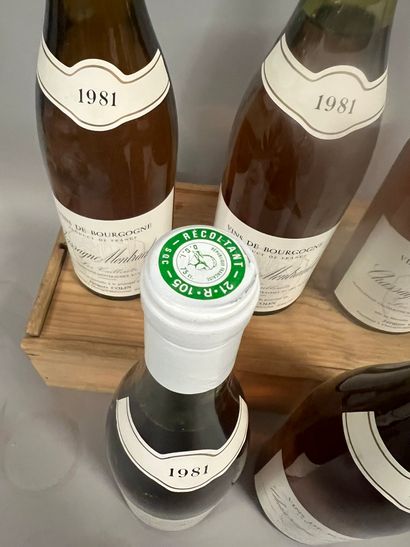 5 bottles CHASSAGNE-MONTRACHET 