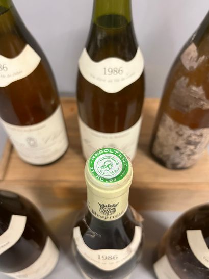 6 bottles MACON CLESSE, René Michel 1986...