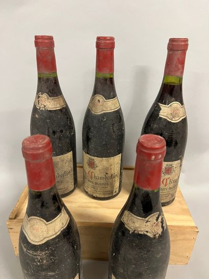 5 bouteilles GEVREY-CHAMBERTIN 