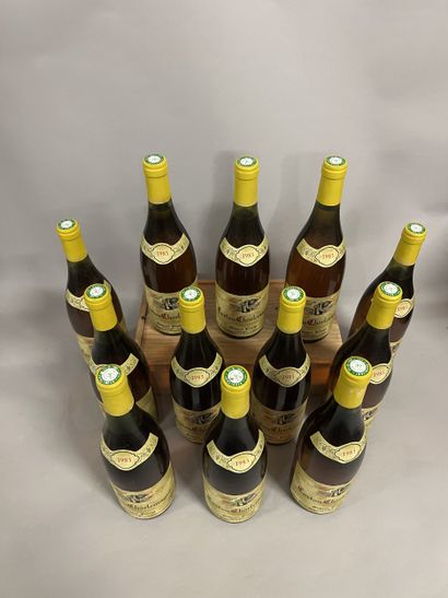 12 bottles CORTON CHARLEMAGNE, Pavelot 1983...