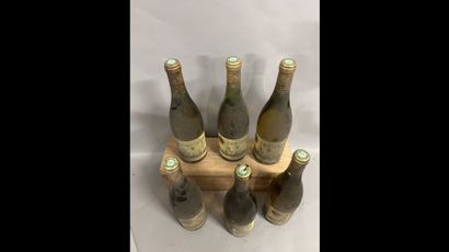 6 bottles CHATEAUNEUF-DU-PAPE BLANC Domaine...