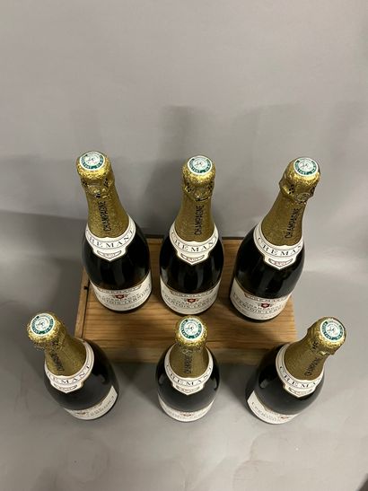 6 bottles CHAMPAGNE 