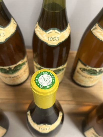 6 bottles SAINT-AUBIN 