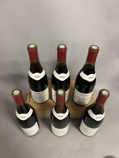 6 bottles BOURGOGNE J. Colin 1980 (TLB)