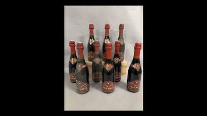 9 bottles COTEAUX CHAMPENOIS ROUGE Sadi ...